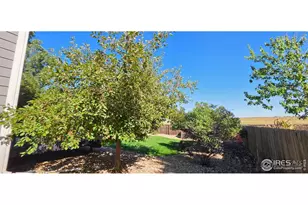 11392 Ebony St, Firestone, CO 80504 - Photo 26