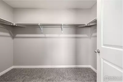 1718 Avery Plaza St, Severance, CO 80550 - Photo 20