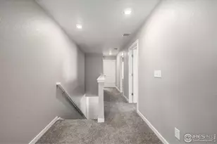 1718 Avery Plaza St, Severance, CO 80550 - Photo 16