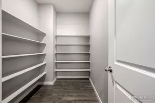 1718 Avery Plaza St, Severance, CO 80550 - Photo 10