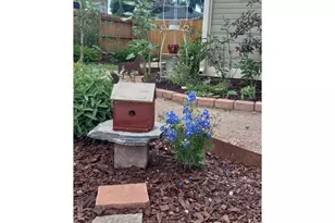 3730 Garfield Ave, Wellington, CO 80549 - Photo 18