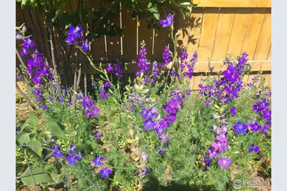 3730 Garfield Ave, Wellington, CO 80549 - Photo 26