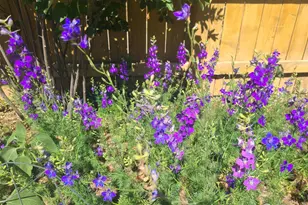 3730 Garfield Ave, Wellington, CO 80549 - Photo 26