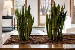 7512 Caren Cir, Loveland, CO 80534 - Photo 10