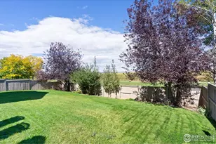 3208 Iron Horse Way, Wellington, CO 80549 - Photo 40