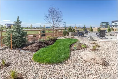 913 Trumpet Ln, Windsor, CO 80550 - Photo 44