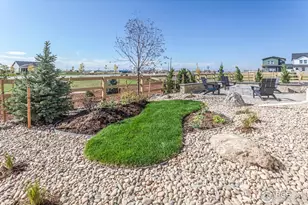 913 Trumpet Ln, Windsor, CO 80550 - Photo 44