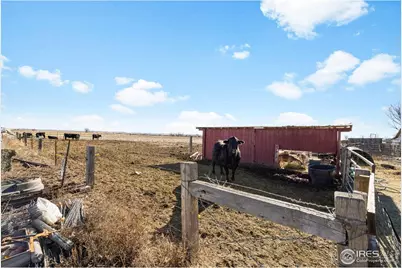 37648 County Road 49, Eaton, CO 80615 - Photo 34