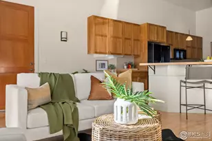 261 Pine St, Fort Collins, CO 80524 - Photo 10