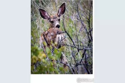 555 James Park Trl, Loveland, CO 80537 - Photo 34