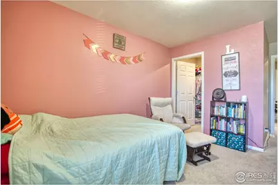 909 Charlton Dr, Windsor, CO 80550 - Photo 16