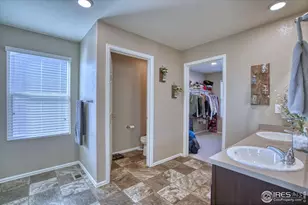909 Charlton Dr, Windsor, CO 80550 - Photo 22