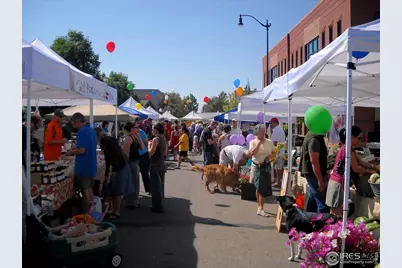 876 Cimarron Dr #B, Lafayette, CO 80026 - Photo 40