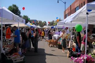 876 Cimarron Dr, Lafayette, CO 80026 - Photo 40