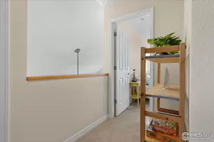 805 Summer Hawk Dr, Longmont, CO 80504 - Photo 14