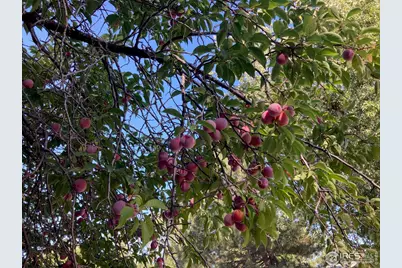 4559 Beachcomber Ct, Boulder, CO 80301 - Photo 20