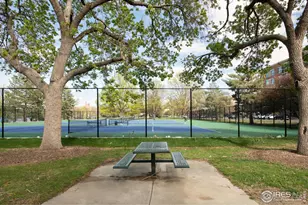 903 Wolff St, Denver, CO 80204 - Photo 6