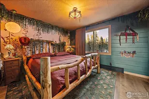 172 St Vrain Trail, Ward, CO 80481 - Photo 18