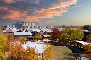 919 Schlagel St, Fort Collins, CO 80524 - Photo 26