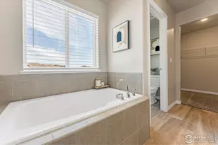 4527 Longmead Dr, Windsor, CO 80550 - Photo 20