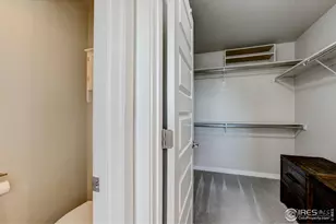 2137 Honeybee Dr, Windsor, CO 80550 - Photo 38