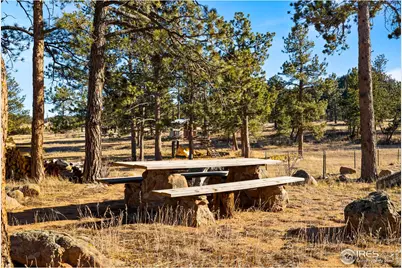 100 S Cucharas Mountain Ct, Livermore, CO 80536 - Photo 46