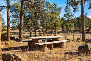 100 S Cucharas Mountain Ct, Livermore, CO 80536 - Photo 46