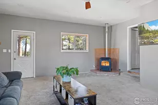 100 S Cucharas Mountain Ct, Livermore, CO 80536 - Photo 32