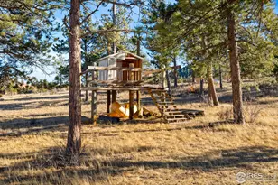 100 S Cucharas Mountain Ct, Livermore, CO 80536 - Photo 44