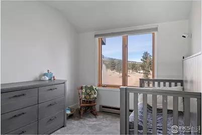 100 S Cucharas Mountain Ct, Livermore, CO 80536 - Photo 26