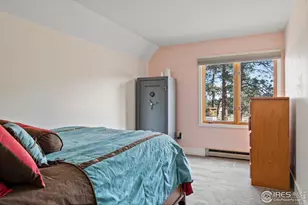 100 S Cucharas Mountain Ct, Livermore, CO 80536 - Photo 36