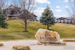 8900 Falcon St, Longmont, CO 80504 - Photo 34