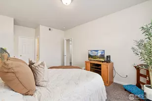 1343 Lake Cir, Windsor, CO 80550 - Photo 12