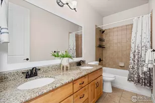 611 Gore Range Dr, Severance, CO 80550 - Photo 24