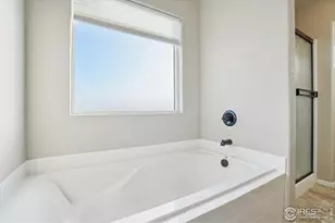 573 Ellingwood Pointe Dr, Severance, CO 80550 - Photo 24