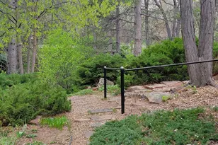 4311 Pali Way, Boulder, CO 80301 - Photo 42