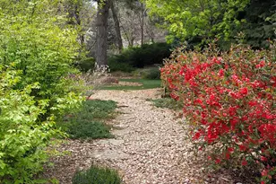 4311 Pali Way, Boulder, CO 80301 - Photo 38