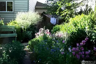 6078 Ulysses Ave, Firestone, CO 80504 - Photo 42