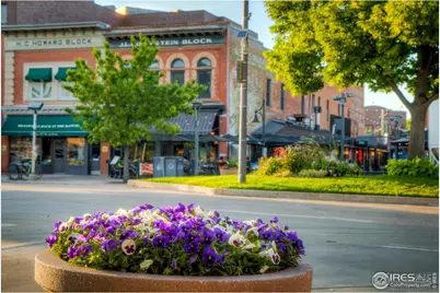 228 E Oak St #107D, Fort Collins, CO 80524 - Photo 14