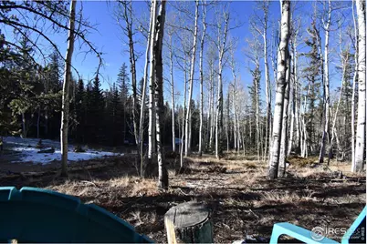 972 N Quarter Horse Rd, Jefferson, CO 80456 - Photo 34