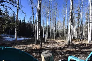 972 N Quarter Horse Rd, Jefferson, CO 80456 - Photo 34