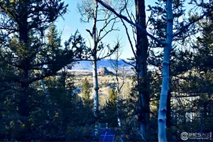 972 N Quarter Horse Rd, Jefferson, CO 80456 - Photo 4