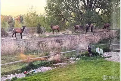373 Orvis Ct, Loveland, CO 80537 - Photo 36