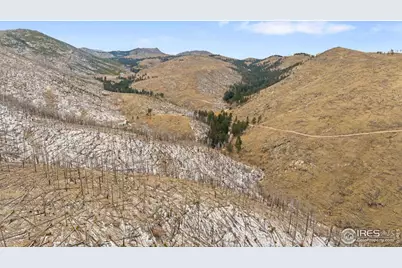 685 La Escena Dr, Bellvue, CO 80512 - Photo 4