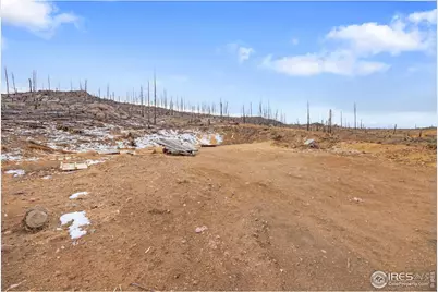 685 La Escena Dr, Bellvue, CO 80512 - Photo 6