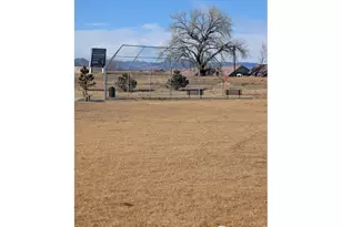 4303 Lacewood Ln, Johnstown, CO 80534 - Photo 36