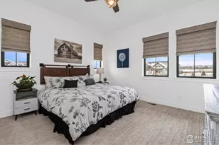 1907 Spring Bloom Dr, Windsor, CO 80550 - Photo 20