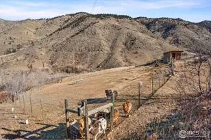 90 Redtail Rdg Wy, Bellvue, CO 80512 - Photo 36