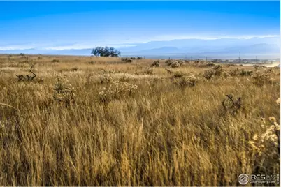 7923 County Road 84, Fort Collins, CO 80524 - Photo 12