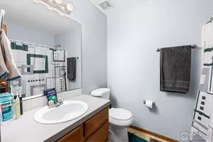 1130 S Marjorie Ave, Milliken, CO 80543 - Photo 20